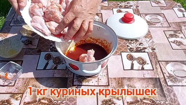 Шашлык из куриных крылышек в медово соевом маринаде Рецепты Грузинской кухни Рецепт шашлыка