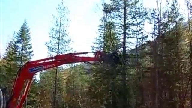 Гидроножницы для дерева OSMA TS 250 смотреть онлайн