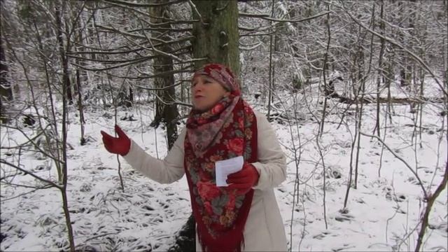 Пел пӱнчын йӱксавыше.. Аркадий Букетов. Мардеж - пӱртӱсын ик тале вийже.