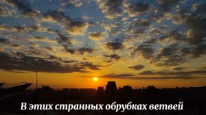 Облетают последние маки, Андрей Мягков. Нимножка природы:)))