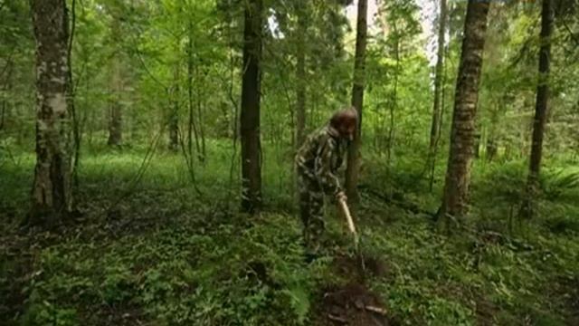 15. Рейтинг Баженова. Могло быть хуже. Игра с огнем