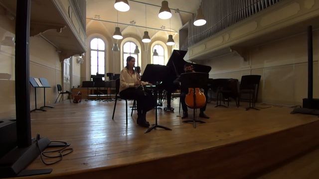 Johannes Brahms - Trio op. 114, I mov смотреть онлайн