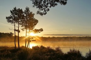 "ОСЕННИЙ ЭТЮД ИЗ ТОМСКА"... (Фото Г. Кан (Томск), музыка Кристины Буджиашвили)