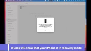 How to Enter and Exit iPhone 6 DFU Mode (iPhone 6s or Earlier) | iToolab