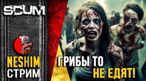 Почему я голый и какие грибы можно есть в SCUM? Выживание в лесу.