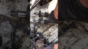 Разница между первичными валами нового и старого образца