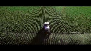 Как хлеб попадает к нам на стол?