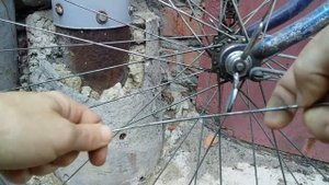 Как поменять спицу, не снимая колесо с велосипеда