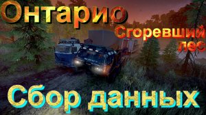 ?????ОНТАРИО????? СГОРЕВШИЙ??ЛЕС?СБОР?ДАННЫХ?️  ПОДПИШИТЕСЬ НА КАНАЛ❗НАЖМИТЕ?В ТОП