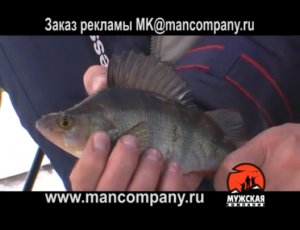 МК: Ловля зимнего окуня на мормышку