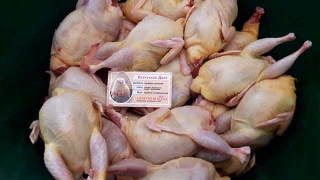 САМОЕ ВКУСНОЕ МЯСО ПЕРЕПЕЛОВ. РЕАЛИЗУЕМ МЯСО- ТУШКИ ПЕРЕПЕЛОВ. Порода Альбинос техасский.