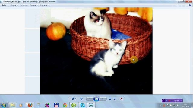 Домик Для Кошек - плетение из лозы (ивы)
