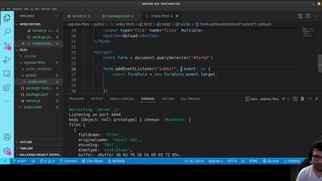 AM Coder - Working with Files in Javascript from Express with Multer