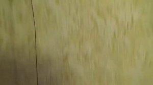 Тест плетёнок Sanline Super PE и SeaKnight Monster W8