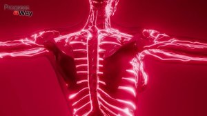 ВОТ ЧТО ТВОРИТ ЧЕСНОК С МЕДОМ! (Реальная Польза и Вред Чеснока с Медом)