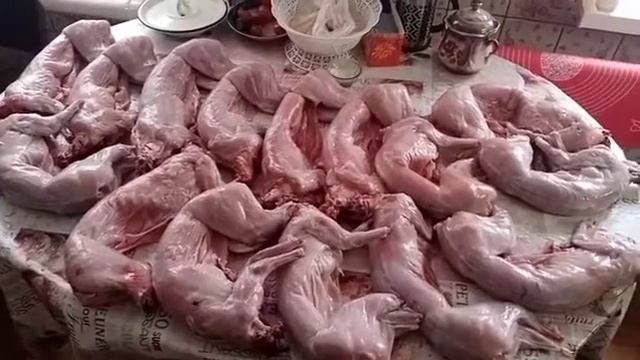 Кролики дома - кролиководство - кролики - мясо смотреть онлайн