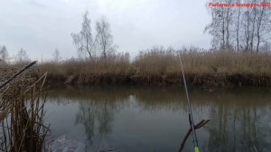 ловля карпа и карася в апреле