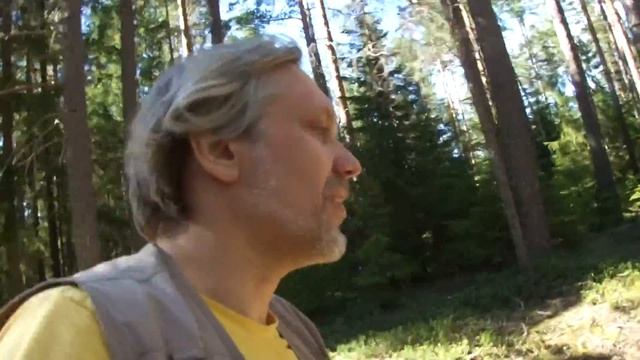 Орехово, 67 км. Лесные дороги. 00119 смотреть онлайн