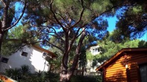 Крым, Судак, Новый свет, база отдыха "Лукоморье"