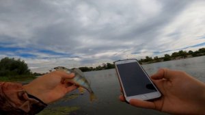 Рыбалка на спиннинг. Ловля на ультралайт. Рыбалка на Десне. Береговой джиг #ловлянаспиннинг