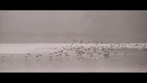 La Doppia Ora - Nederlandse Trailer