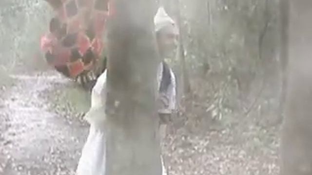 Monty Python Black Knight Home Made Sequence смотреть онлайн