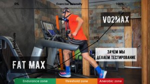 Дмитрий Митяев - VO2max, FatMax. Зачем и как мы делаем тестирование.