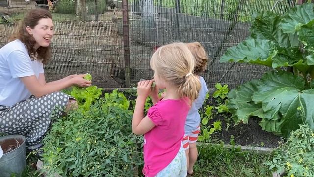 ?ЛЕТНЯЯ ВЕЧЕРНЯЯ СЕМЕЙНАЯ РУТИНА?СУШИМ БЕЛЬЕ ПО-НОВОМУ?УБОРКА В ШКАФУ?СЕМЕЙНЫЙ ВЛОГ смотреть онлайн