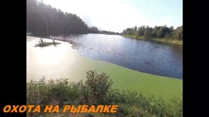 ОХОТА НА УТКУ С ПОДХОДА С ВЕПРЬ МОЛОТ 12