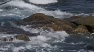 Художник-маринист Георгий Дмитриев и музыка Дидюли.