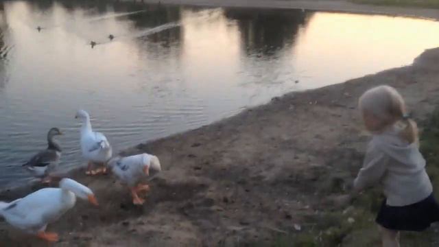 2015 Как мы кормили гусей смотреть онлайн