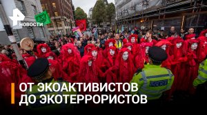Экоактивисты перешли от нападений на искусство к атакам на людей / РЕН Новости