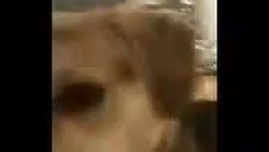 Dogs Singing A Capella