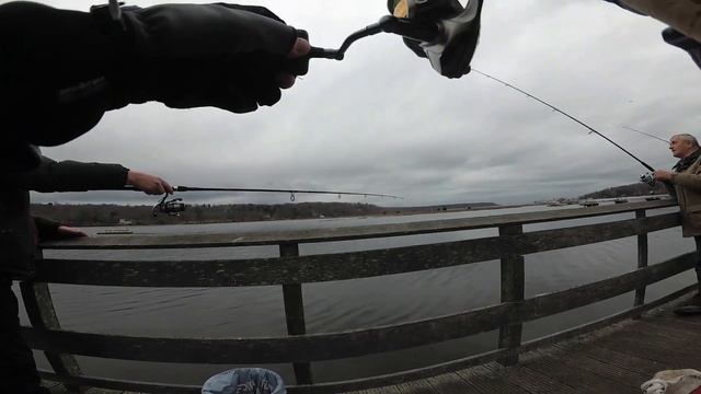 Fishing for Herring on Long Island NY in Winter using a Sabiki Rig смотреть онлайн