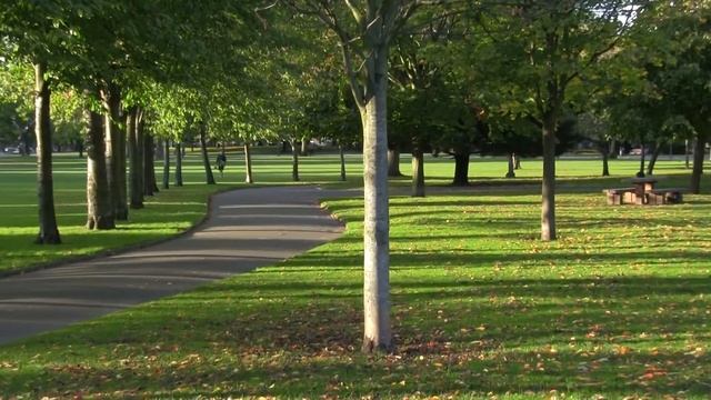 Canon HF M506 test video 2 смотреть онлайн