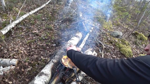 Одиночный поход в лес с ночевкой. Страшно ли ночевать в лесу одному. Чего боится одиночка в походе?