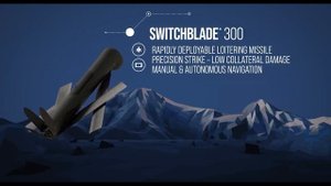 Дрон-камикадзе Switchblade 300 __ Обзор