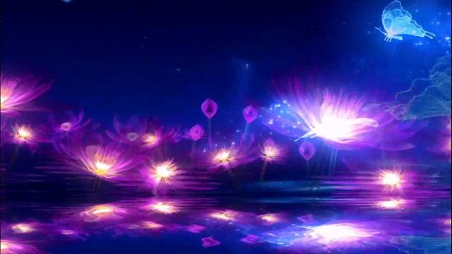 Футажи Бабочки смотреть онлайн