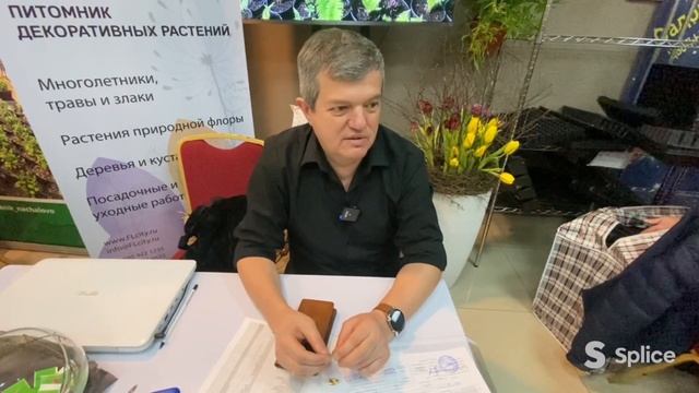 Какие многолетние цветы самые популярные?