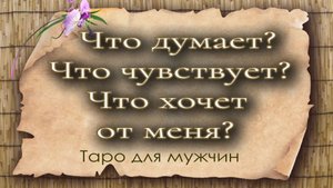 Что думает? Что чувствует? Что хочет от меня? Таро для мужчин. Гадание таро