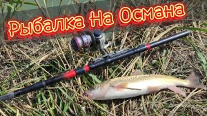 Осман - Идеальная Рыбалка #ловляосмана #2023 #2024 #осман #fishing #top #1k #рыбалка