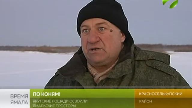 По коням! Как якуты прижились на Ямале смотреть онлайн