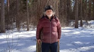 Зарядка от деревьев
