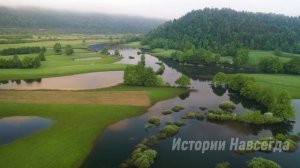 Свекровь выставила невестку, но она не догадывалась, что она сделает…