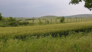 И вновь пограничную службу несем