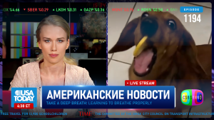CSBSVNNQ Американские новости — выпуск #1194 от 03.02.2024