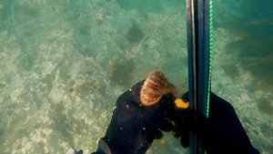 Подводная охота ОКУНЬ ТЕРПУГ. Север Приморья, Рудная пристань.