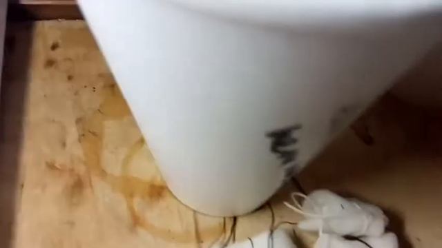 Вторая часть марлезонского балета . смотреть онлайн