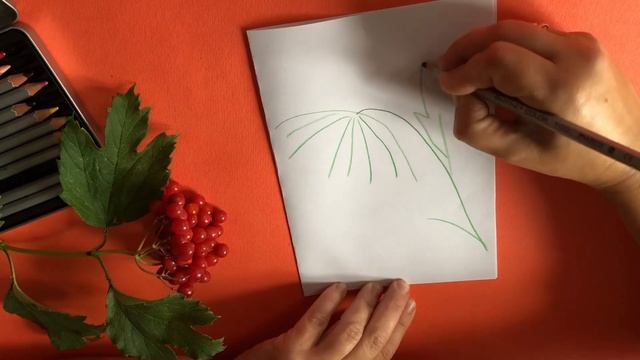 Малювання. «Калина - символ України» #малювання #длядітей #розвитокдитини #дистанційненавчання смотреть онлайн