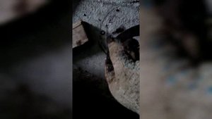 Одна из возможных причин "шорканья" в задней части автомобиля при езде. Ваз 2110